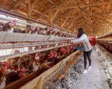 De R$ 1.617,00 a R$ 1.870,00: Paraná terá maior salário mínimo do País em 2022