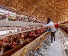 De R$ 1.617,00 a R$ 1.870,00: Paraná terá maior salário mínimo do País em 2022