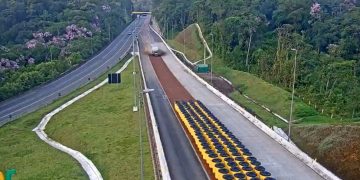 Caminhão com 13 toneladas de tecido evita acidente e usa área de escape da BR-376