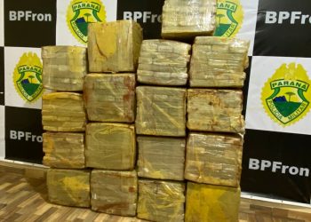BPFRON apreende mais de 300 quilos de maconha e produtos contrabandeados no Oeste do estado