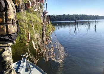 Batalhão Ambiental aplicou R$ 60,2 milhões em multas e atendeu 14 mil ocorrências em 2021