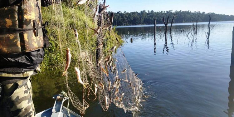 Batalhão Ambiental aplicou R$ 60,2 milhões em multas e atendeu 14 mil ocorrências em 2021