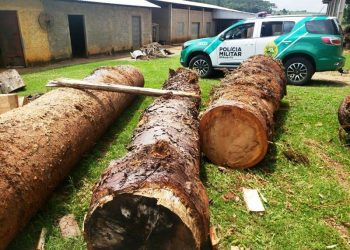Crime ambiental em Ivaí