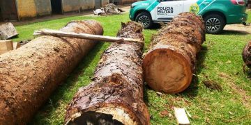 Crime ambiental em Ivaí