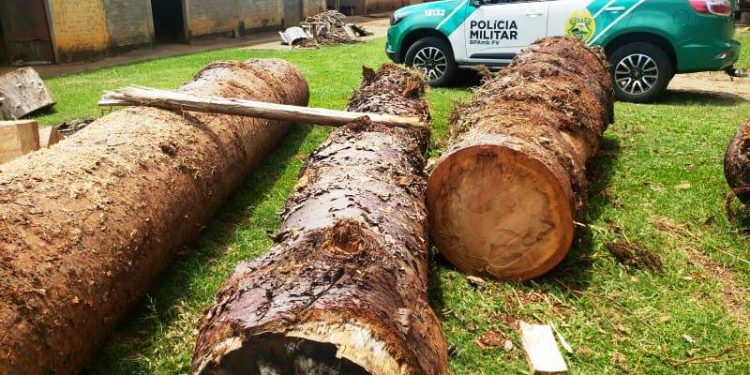 Crime ambiental em Ivaí