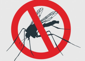 Ministério da Saúde lança campanha contra mosquito da dengue