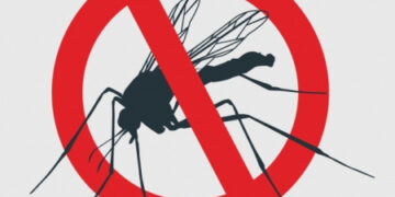 Ministério da Saúde lança campanha contra mosquito da dengue