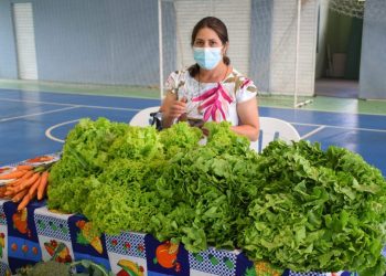 Feira do Produtor em Guarapuava incentiva agricultura familiar e alimentação mais saudável