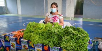 Feira do Produtor em Guarapuava incentiva agricultura familiar e alimentação mais saudável