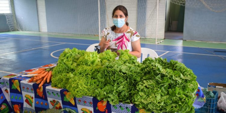 Feira do Produtor em Guarapuava incentiva agricultura familiar e alimentação mais saudável