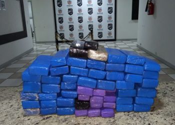 PM de Apucarana apreende 40 KG de maconha; casal foi preso