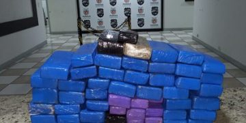 PM de Apucarana apreende 40 KG de maconha; casal foi preso