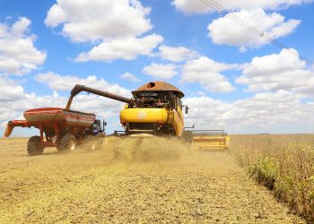 Nova publicação da Agricultura analisa evolução do Valor Bruto da Produção de 1997 a 2020