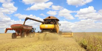 Nova publicação da Agricultura analisa evolução do Valor Bruto da Produção de 1997 a 2020