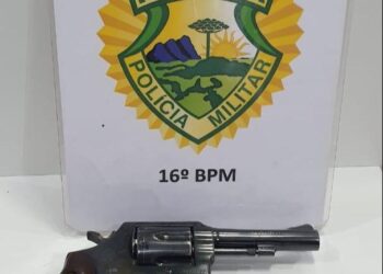 Posse irregular de arma de fogo no Primavera