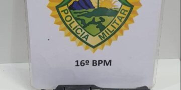 Posse irregular de arma de fogo no Primavera