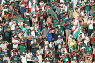 Palmeiras: integrantes de organizada são condenados a 24 anos de prisão por assassinato a torcedor do Corinthians