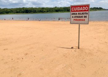 Bombeiros reforçam alertas sobre ataques de piranhas nas praias da Costa Oeste