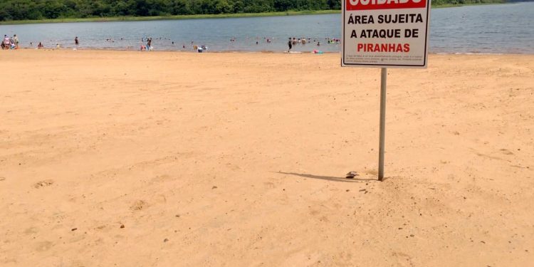 Bombeiros reforçam alertas sobre ataques de piranhas nas praias da Costa Oeste
