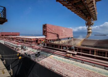 8 pessoas são presas suspeitas de preparar envio de cocaína pelo Porto de Paranaguá