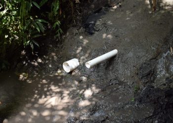 Secretaria de Agricultura investe na proteção de nascentes em comunidades rurais