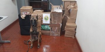 Contrabando em Guarapuava