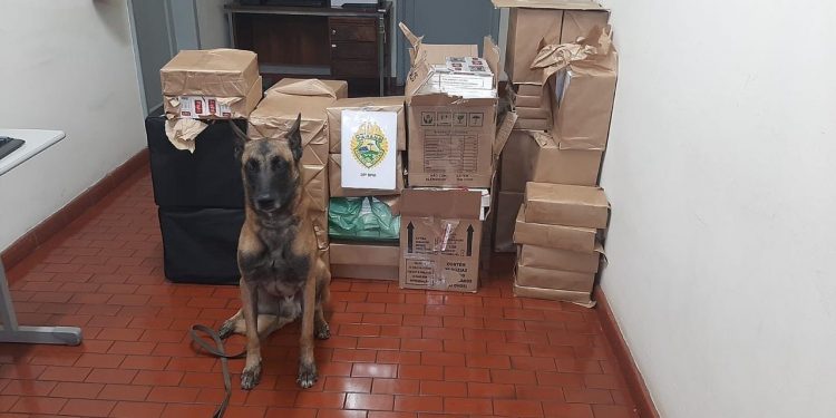 Contrabando em Guarapuava