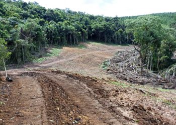 Multa por crimes ambientais na Lapa