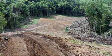 Multa por crimes ambientais na Lapa