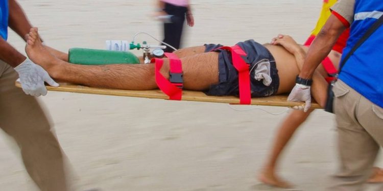 Abelhas atacam 18 banhistas em Matinhos, no litoral do Paraná