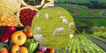 Agronegócio representa 60% das contratações do BRDE no Paraná