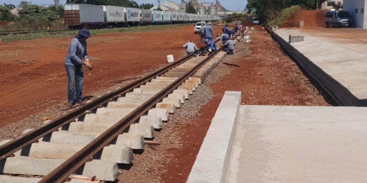 Ampliação do terminal da Ferroeste dobrará envio de contêineres pela estrada de ferro