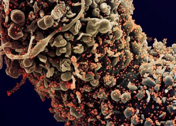 Israel detecta 1º caso de infecção dupla conhecida como flurona: gripe e coronavírus