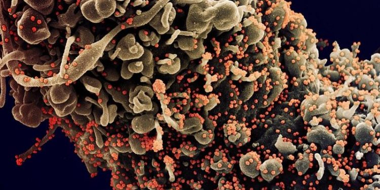 Israel detecta 1º caso de infecção dupla conhecida como flurona: gripe e coronavírus