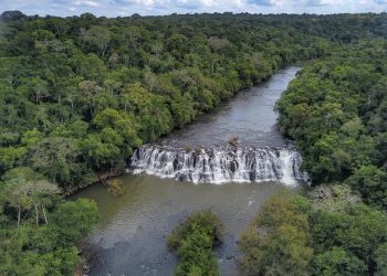 Paraná define projetos ambientais que vão receber R$ 441 milhões do acordo com a Petrobras