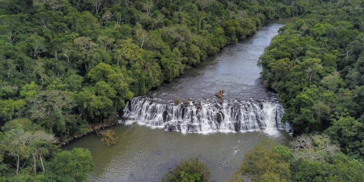 Paraná define projetos ambientais que vão receber R$ 441 milhões do acordo com a Petrobras