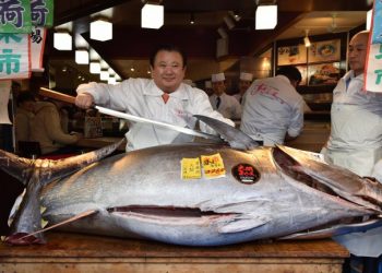 Atum fresco é leiloado por R$ 850 mil no Japão