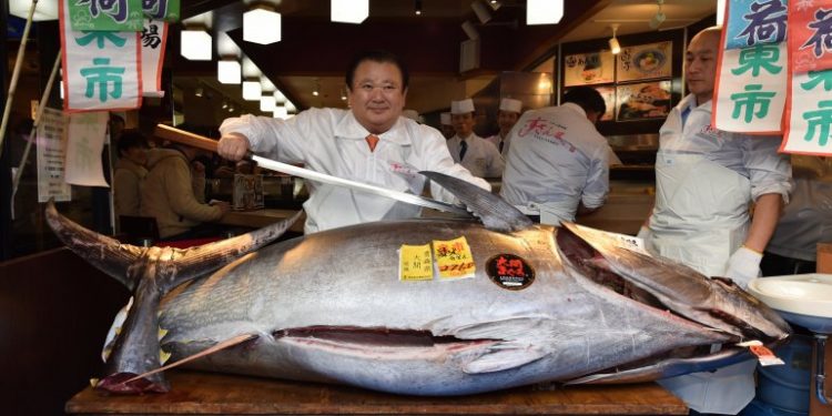 Atum fresco é leiloado por R$ 850 mil no Japão