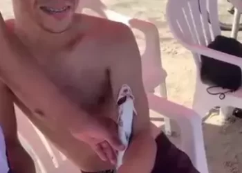 Banhista é atacado por peixe bagre em praia no Litoral do Paraná e é socorrido pelos bombeiros