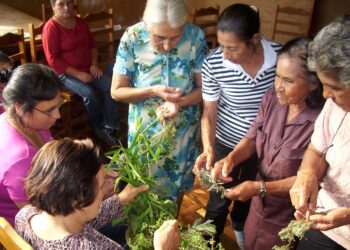 Benzedeiras compartilham conhecimentos em roda de conversa no Museu Paranaense&nbsp;