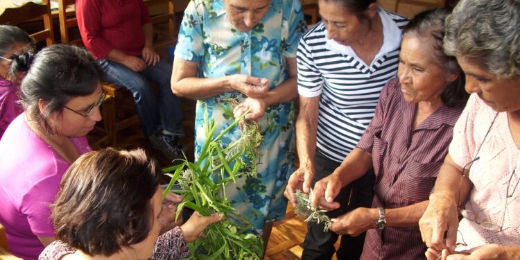 Benzedeiras compartilham conhecimentos em roda de conversa no Museu Paranaense&nbsp;