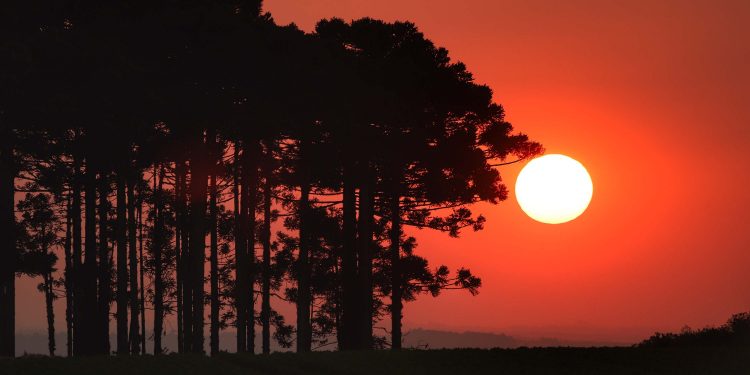 “Calorão” faz Paraná ultrapassar 40° C; cidades registram recordes históricos