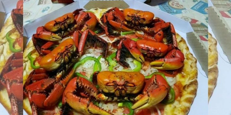 Pizza de caranguejo? Meu caneco. Sabor existe no Paraná e está dando o que falar até na Itália