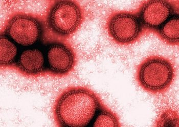 Paraná confirma três primeiros casos de infecção simultânea de Covid-19 e H3N2