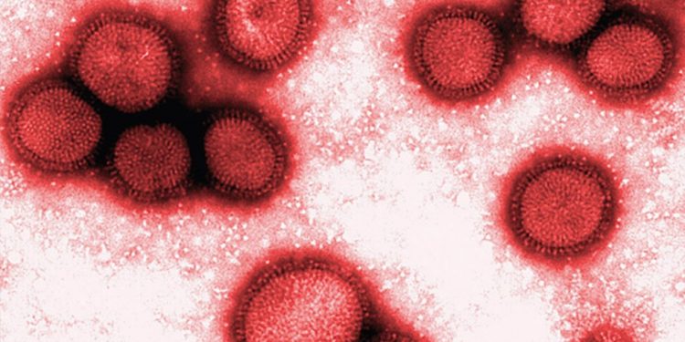 Paraná confirma três primeiros casos de infecção simultânea de Covid-19 e H3N2