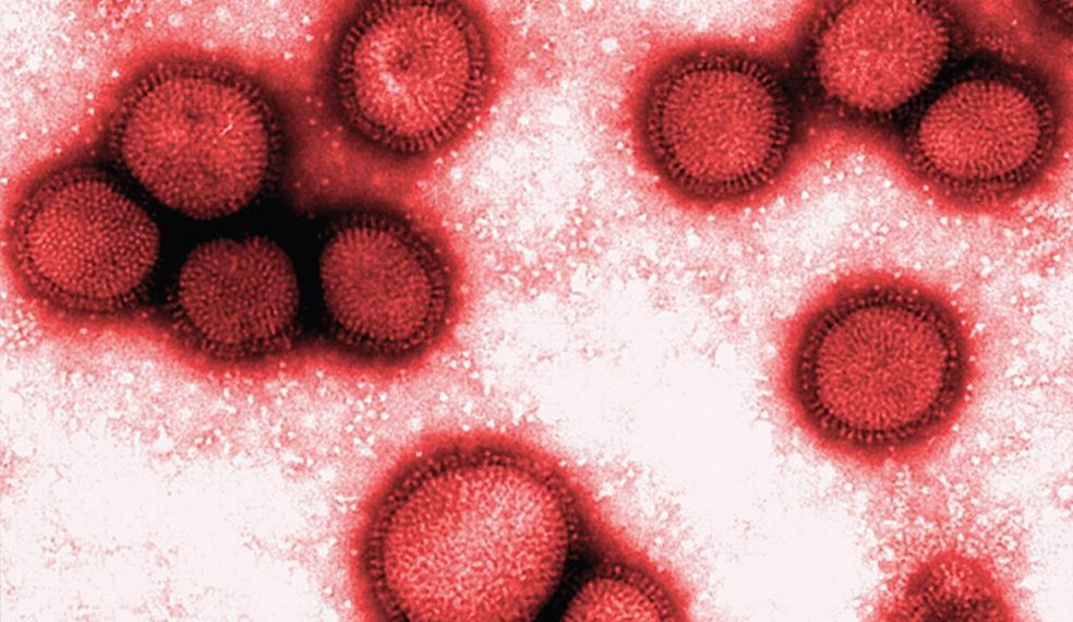 Paraná confirma três primeiros casos de infecção simultânea de Covid-19 e H3N2
