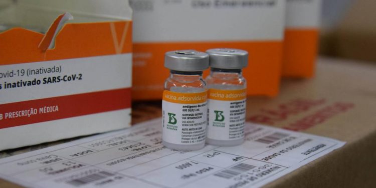 Vacinados com Coronavac podem precisar de 2 reforços contra ômicron, diz estudo