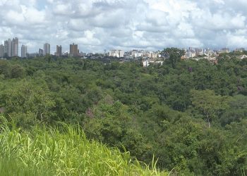 Crack faz mais uma vítima