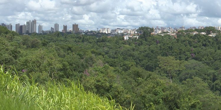 Crack faz mais uma vítima