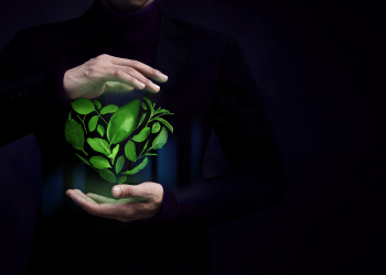 MPPR e PM deflagram em Pontal do Paraná a Operação Curupira, que investiga loteamentos clandestinos em área de Mata Atlântica